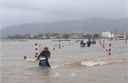 Mưa lớn gây ngập lụt nhiều vùng trũng thấp tại Bình Định