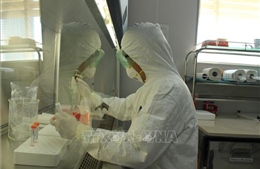 Xét nghiệm lại trường hợp nghi tái dương tính với SARS-CoV-2 ở Quảng Bình
