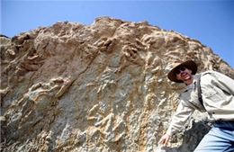 Phát hiện nhiều dấu chân khủng long ở Tây Tạng, Trung Quốc