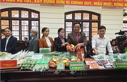 Hà Nội sắp mở thêm 40 điểm giới thiệu sản phẩm OCOP