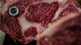Trung Quốc cho phép nhập khẩu thịt bò từ Nga