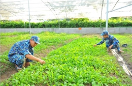 Chiến sĩ Lữ đoàn 167, Vùng 2 Hải quân tăng gia sản xuất