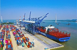 Hãng tàu CMA-CGM cam kết không tăng giá cước vận tải container đến tháng 2/2022
