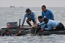 Vụ máy bay rơi tại Indonesia: Boeing cử điều tra viên đến tìm hiểu nguyên nhân 