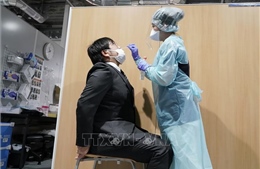 Thủ tướng Nhật Bản chỉ định quan chức phụ trách chiến dịch tiêm vaccine ngừa COVID-19