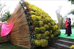 Mô hình bó hoa chậu cúc mâm xôi được xác lập kỷ lục lớn nhất Việt Nam