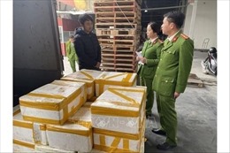 Thanh Hóa: Phát hiện xe tải vận chuyển cá khoai ướp phóc-môn