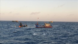 Nghệ An: Tìm kiếm thuyền viên nghi mất tích khi đang đánh bắt cá trên biển