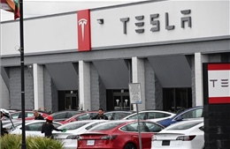 Tesla thu hồi 135.000 phương tiện do lỗi máy tính