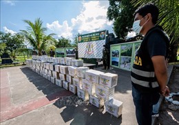 Peru thu giữ gần nửa tấn cocaine