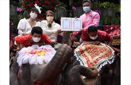 Lễ cưới tập thể trong ngày Valentine tại Thái Lan