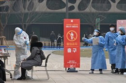 Hàn Quốc cấp phép lao động mùa vụ cho người nước ngoài cư trú trong nước