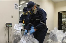 Peru thu giữ 3 tấn cocaine trong container hàng