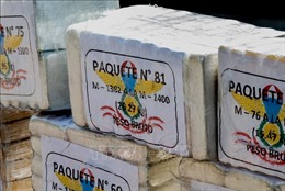 Bắt giữ máy bay có xuất xứ từ Peru chở gần 380 kg ma túy