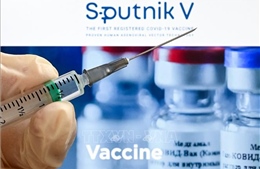 EU xem xét phê duyệt vaccine Sputnik V của Nga 