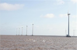 Để điện gió ngoài khơi trở thành nguồn lực chuyển dịch năng lượng quốc gia