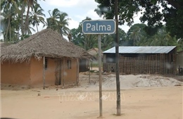 IS tuyên bố chiếm đóng thị trấn Palma ở Bắc Mozambique