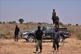 Quân đội Nigeria tiêu diệt 41 phần tử Boko Haram ở vùng Đông Bắc