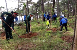Lâm Đồng sẽ trồng 50 triệu cây xanh trong giai đoạn 2021- 2025