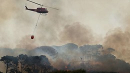 Cháy dữ dội ở khu vực Núi Bàn gây nhiều thiệt hại