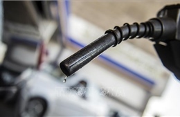 Giá dầu thế giới phiên 19/4 đi lên do đồng USD suy yếu