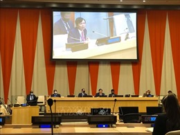 Việt Nam họp tổng kết tháng Chủ tịch Hội đồng Bảo an Liên hợp quốc