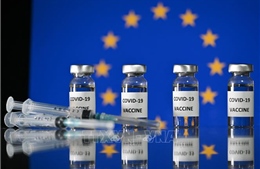 EU đã xuất khẩu khoảng 200 triệu liều vaccine ngừa COVID-19