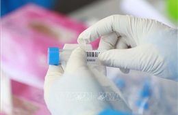 1.476 mẫu xét nghiệm liên quan đến nữ sinh mắc COVID-19 ở Nam Định có kết quả âm tính
