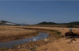 Lâm Đồng đề xuất xây dựng hồ Đan Kia 2 trong Vườn quốc gia Bidoup - Núi Bà