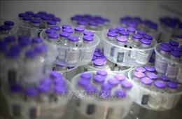 Mỹ cho phép bảo quản vaccine Pfizer/BioNtech ở nhiệt độ tủ lạnh trong vòng 1 tháng