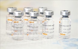 Indonesia tiếp nhận thêm 8 triệu liều vaccine Sinovac 