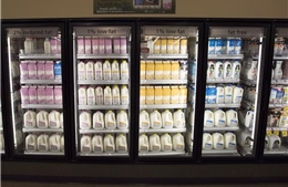 Gia tăng bất đồng giữa Mỹ, Canada về hạn ngạch nhập khẩu bơ sữa 