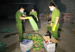 Đắk Nông bắt giữ hơn 1.500 sản phẩm thuốc bảo vệ thực vật bị cấm sử dụng tại Việt Nam