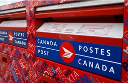 Gần 1 triệu khách hàng Canada Post có nguy cơ bị lộ dữ liệu cá nhân 
