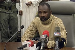 Mali: Chính quyền quân sự đình chỉ hoạt động của các đảng phái chính trị