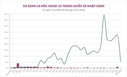 So sánh ca mắc COVID-19 trong nước và nhập cảnh
