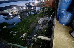 Chợ đầu mối thủy hải sản Long Xuyên vẫn ngang nhiên xả thải ra sông Hậu
