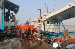 Bà Rịa-Vũng Tàu có 8 cảng cá đủ hệ thống xác nhận nguồn gốc thủy sản