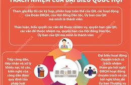 Trách nhiệm của Đại biểu Quốc hội