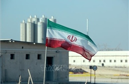 Iran giải thích nguyên nhân nhà máy điện hạt nhân Bushehr tạm ngừng hoạt động