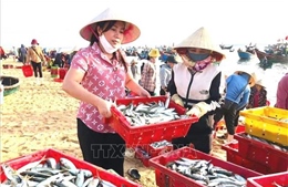 Người dân Quảng Bình góp cá gửi người dân vùng dịch ở TP Hồ Chí Minh