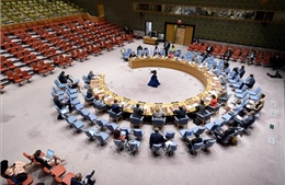 HĐBA thông qua Tuyên bố Chủ tịch kêu gọi thúc đẩy hoà bình, ổn định lâu dài tại Tây Phi và Sahel