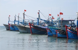 Ninh Thuận với giải pháp giúp ngư dân khai thác thủy sản hợp pháp