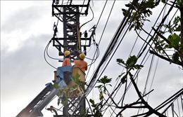Xử lý vi phạm hành lang an toàn lưới điện khu vực miền Trung - Tây Nguyên