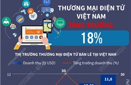 Thương mại điện tử Việt Nam tăng trưởng 18%