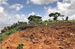 Thành phố Móng Cái thu hồi hòn đảo 8ha vì san gạt đất rừng sai quy định