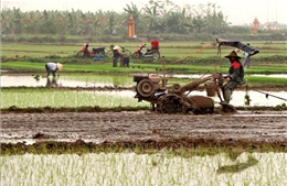 Dồn đổi ruộng đất để phát triển sản xuất nông nghiệp hàng hóa - Bài 1: Vượt qua rào cản