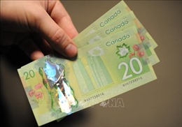 Lý do tiền mặt &#39;sống sót&#39; trong đại dịch COVID-19 tại Canada