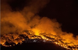 Nắng nóng gay gắt khiến Thổ Nhĩ Kỳ, Hy Lạp vất vả đối phó với cháy rừng