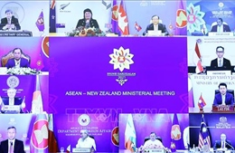 ASEAN - New Zealand phối hợp chặt chẽ bảo đảm hòa bình, an ninh, ổn định ở khu vực